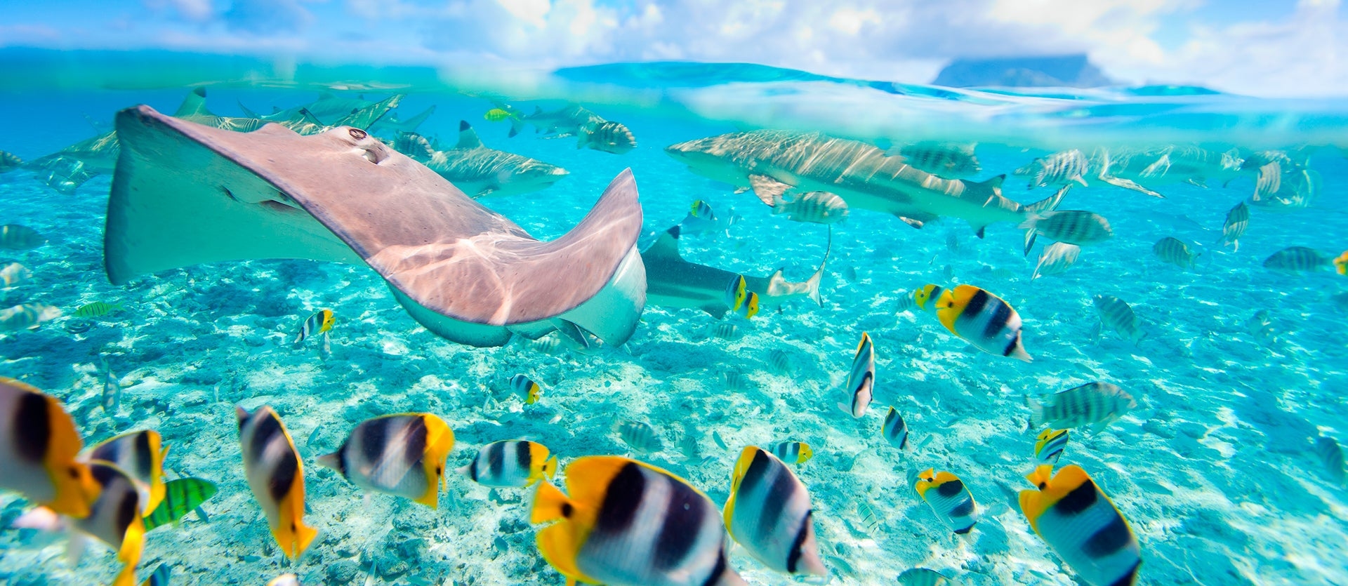 Paraíso de Playas y Atolones todo Incluido