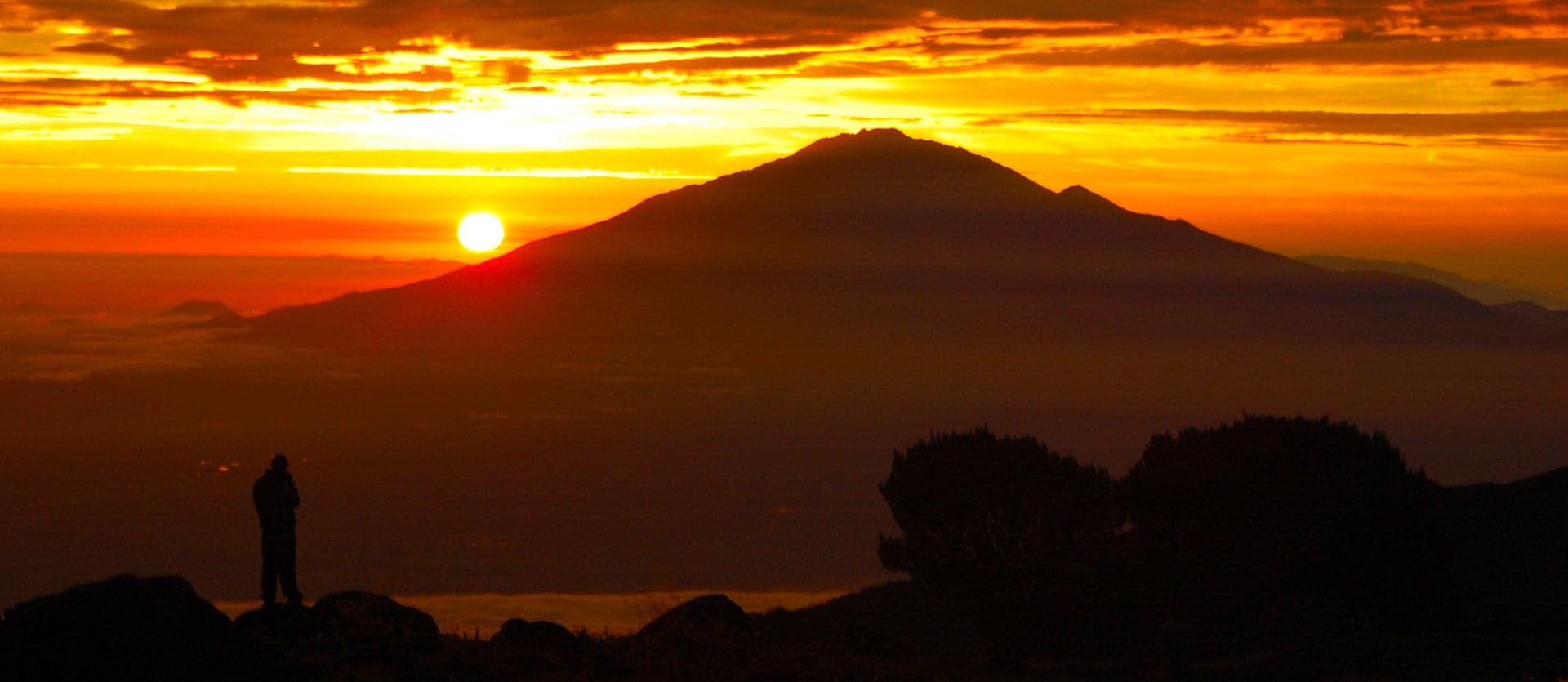 Safari in Tanzania & Hiking on Kilimanjaro