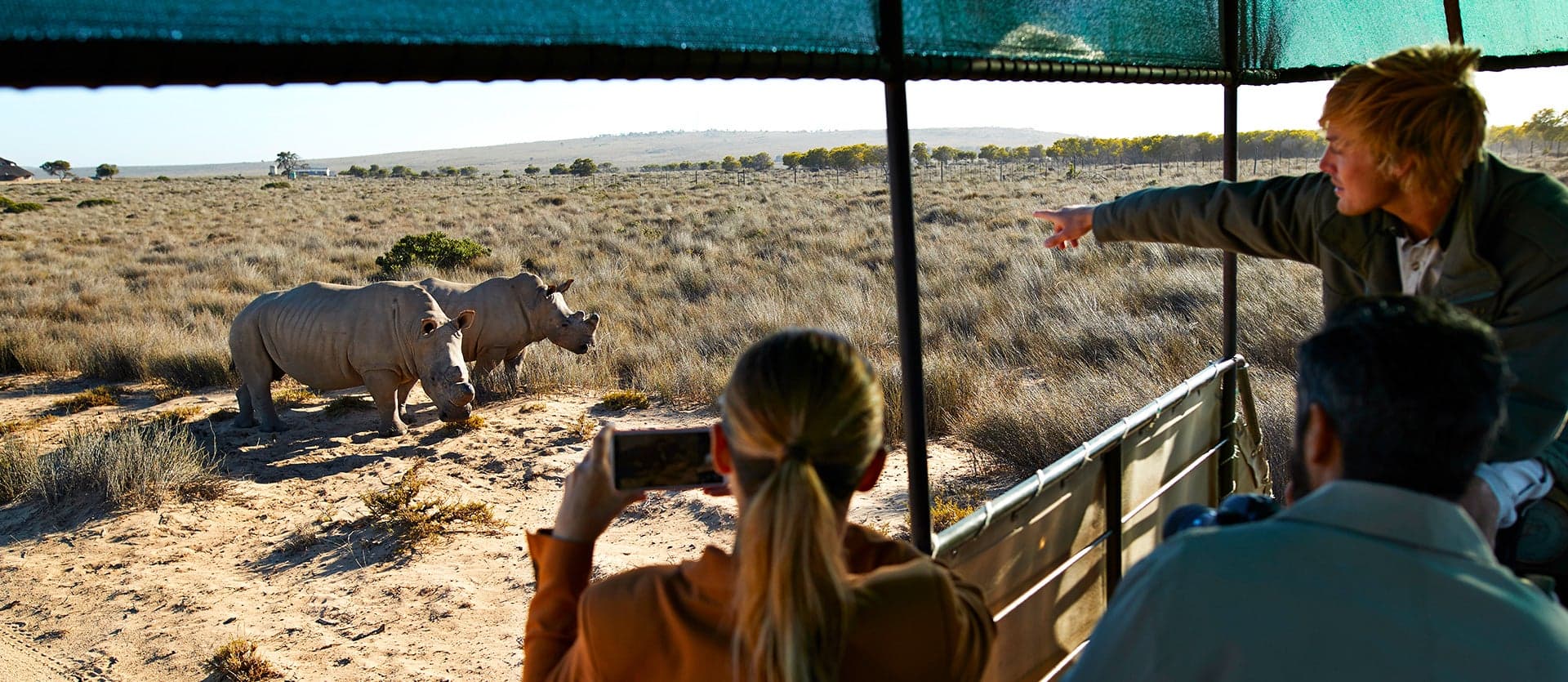 From Table Mountain to the Big Five Safari