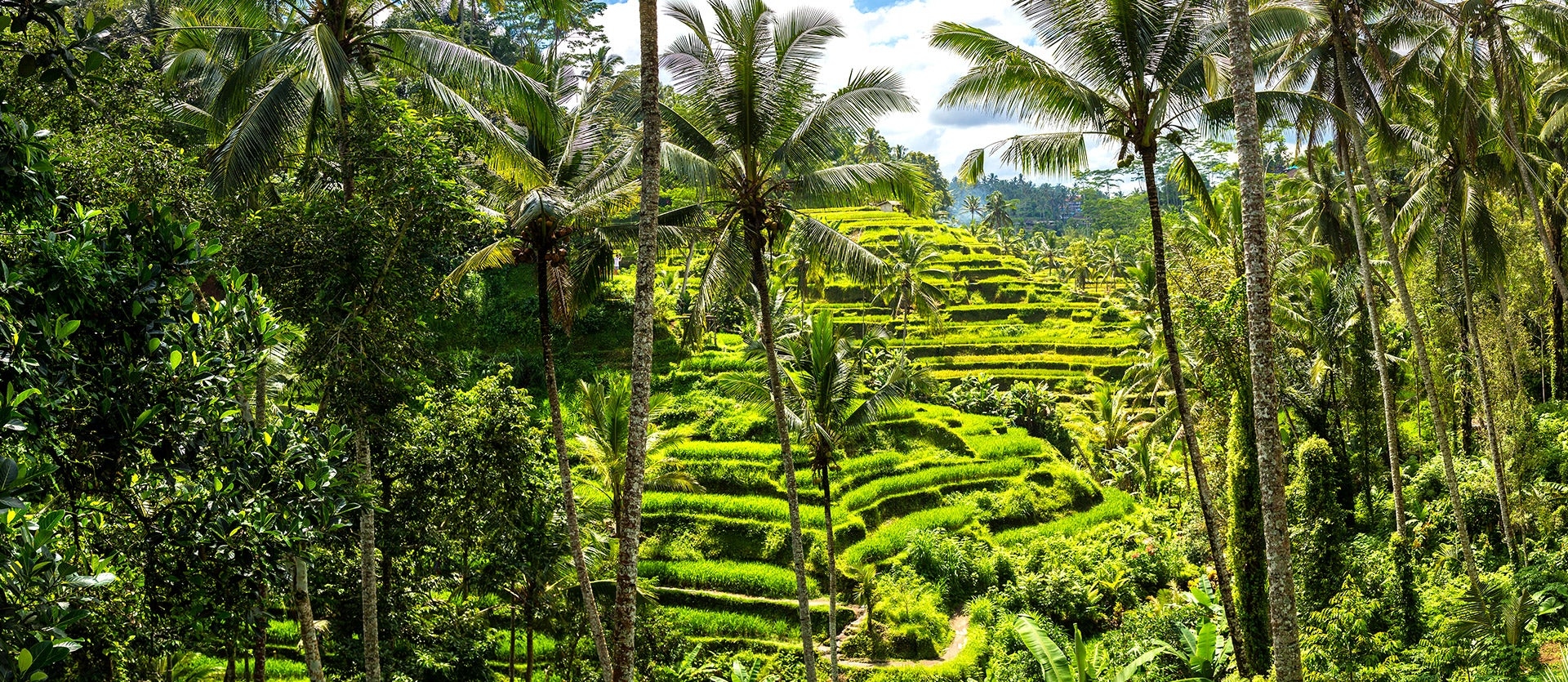 Viaje al corazón de Bali