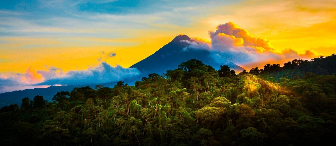 Tropical Rainforests & Beach Escape