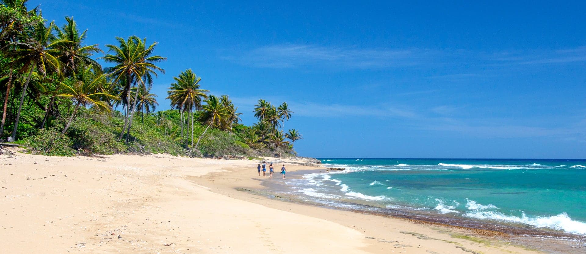 Perla Marina Beach <span class="iconos separador"></span> Cabarete