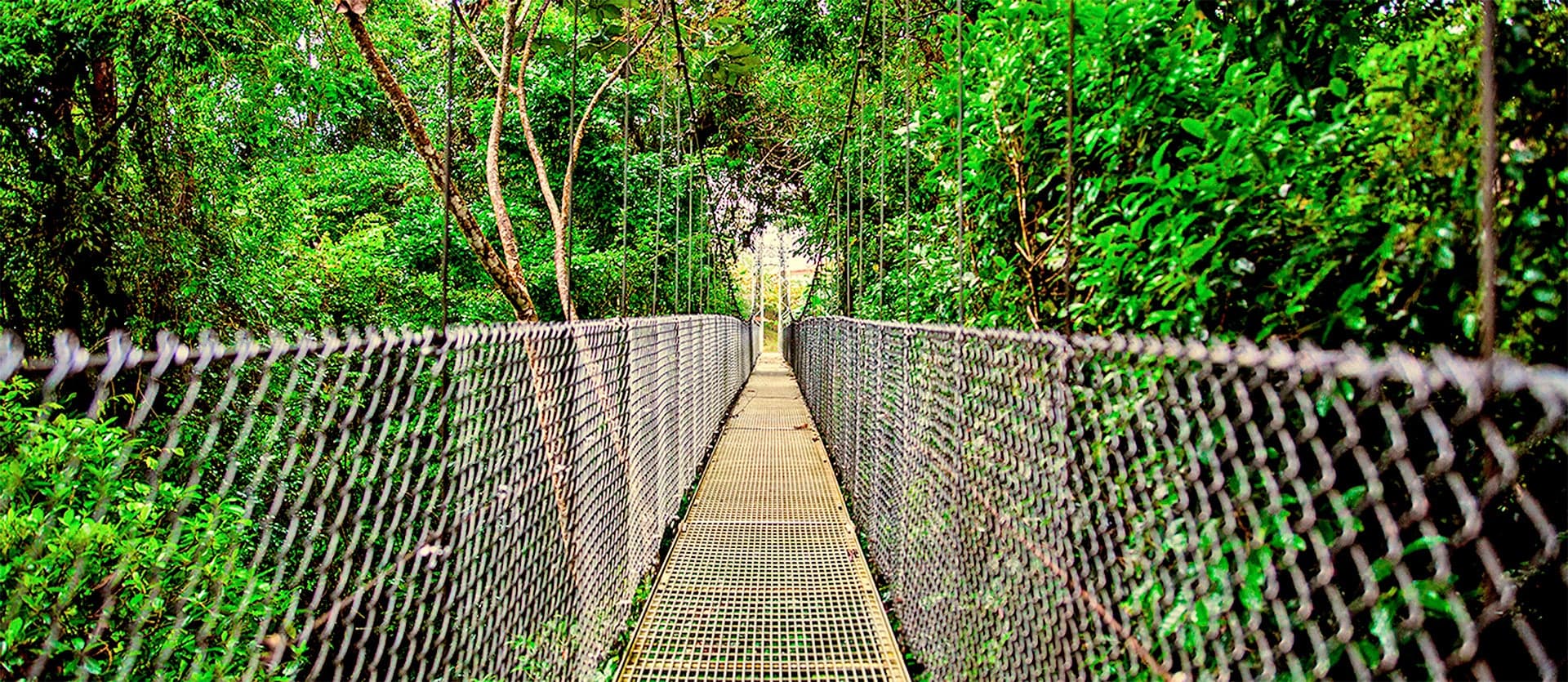 Rainforest Walkaway <span class="iconos separador"></span> Arenal