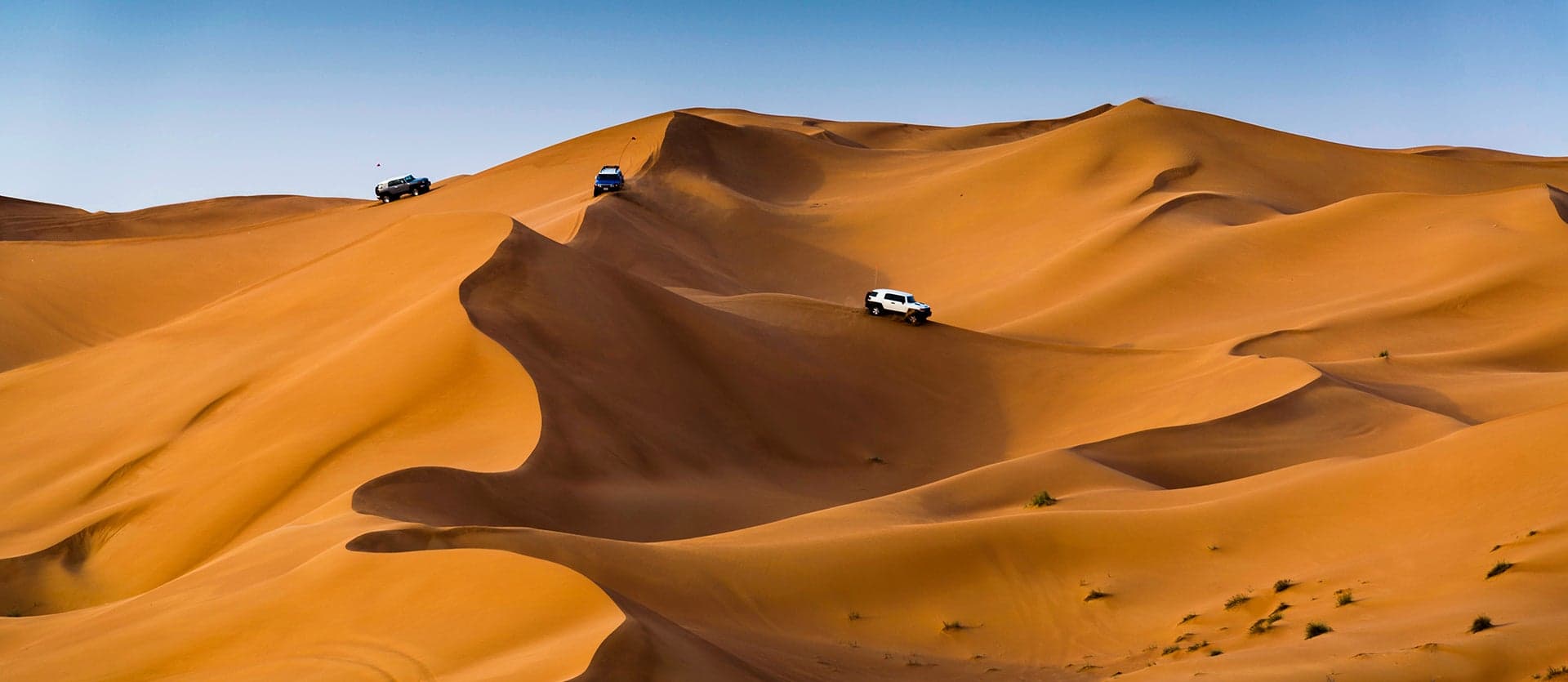 View of Desert Safari <span class="iconos separador"></span> Dubai