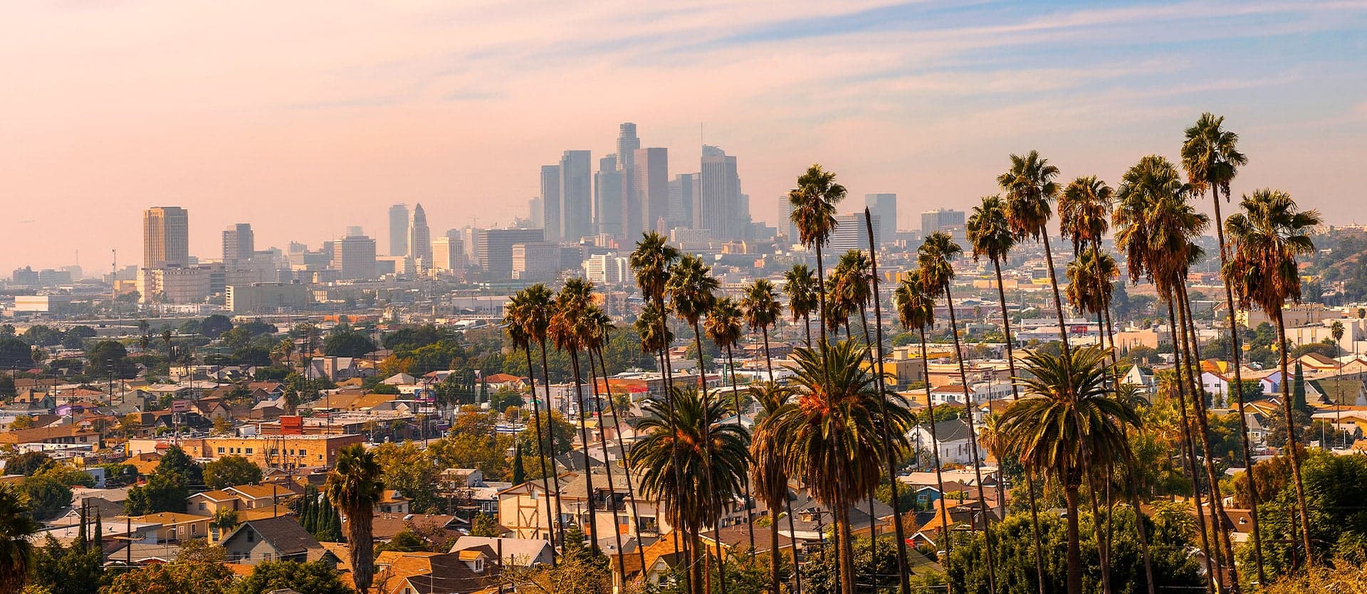 City view <span class="iconos separador"></span> Los Angeles