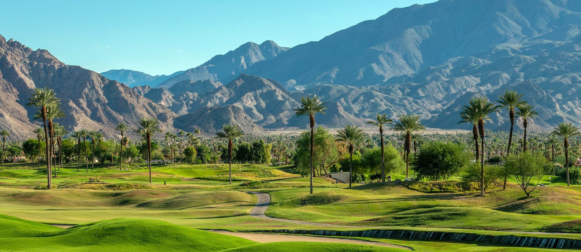 Landscape <span class="iconos separador"></span> Palm Springs