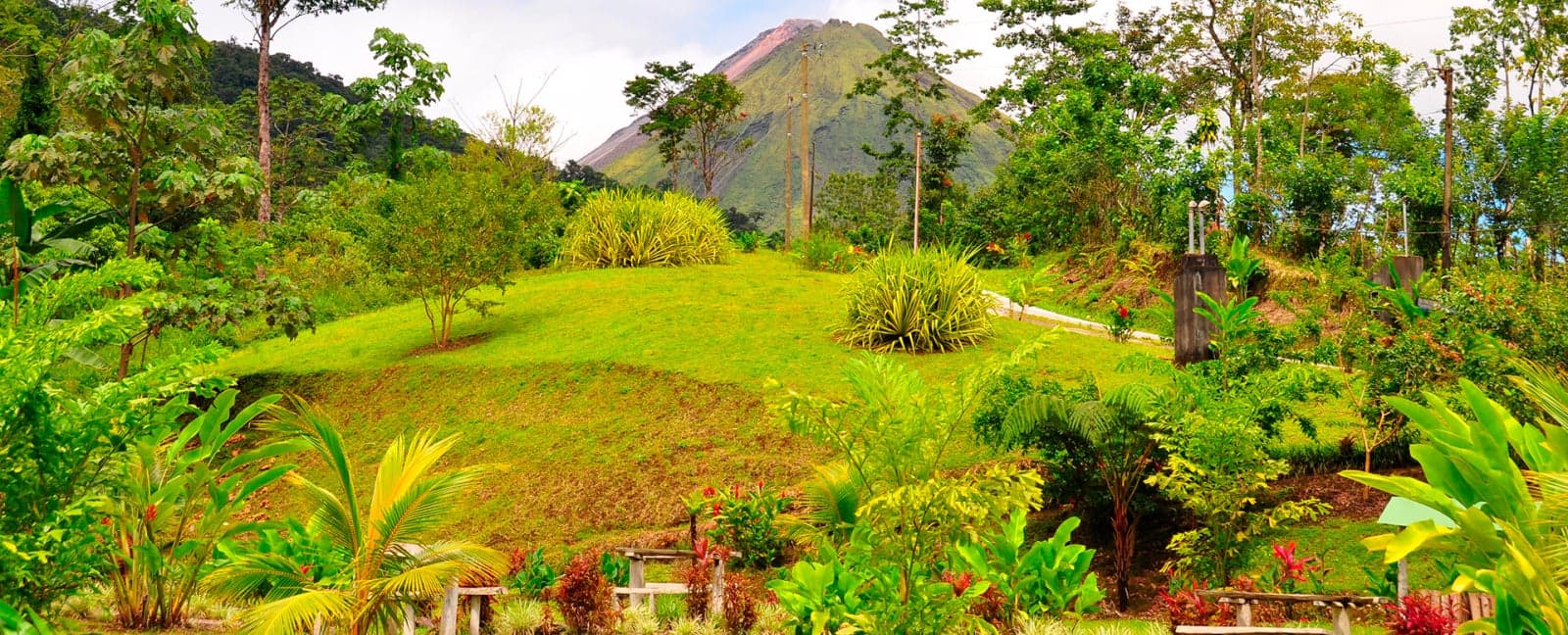 Arenal