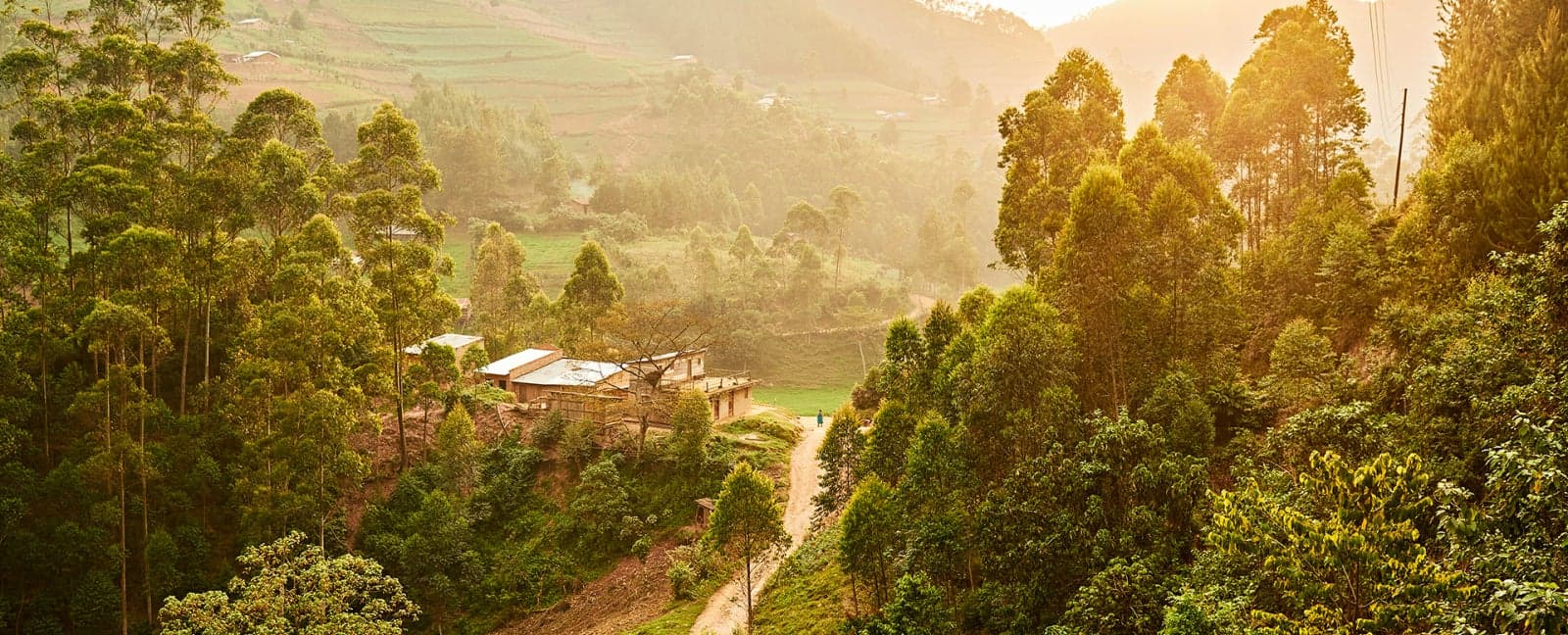 Kigali - Bwindi Impenetrable National Park