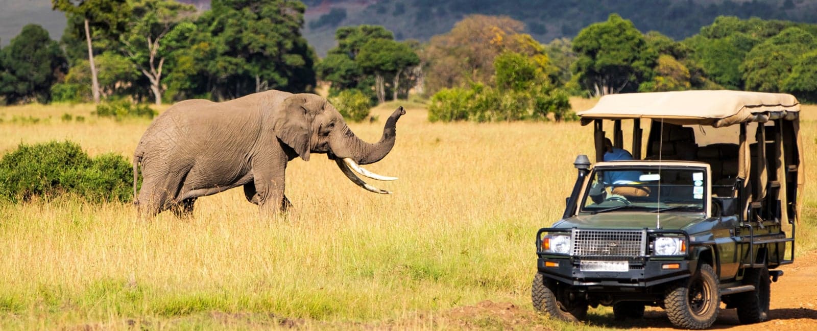 Maasai Mara National Reserve