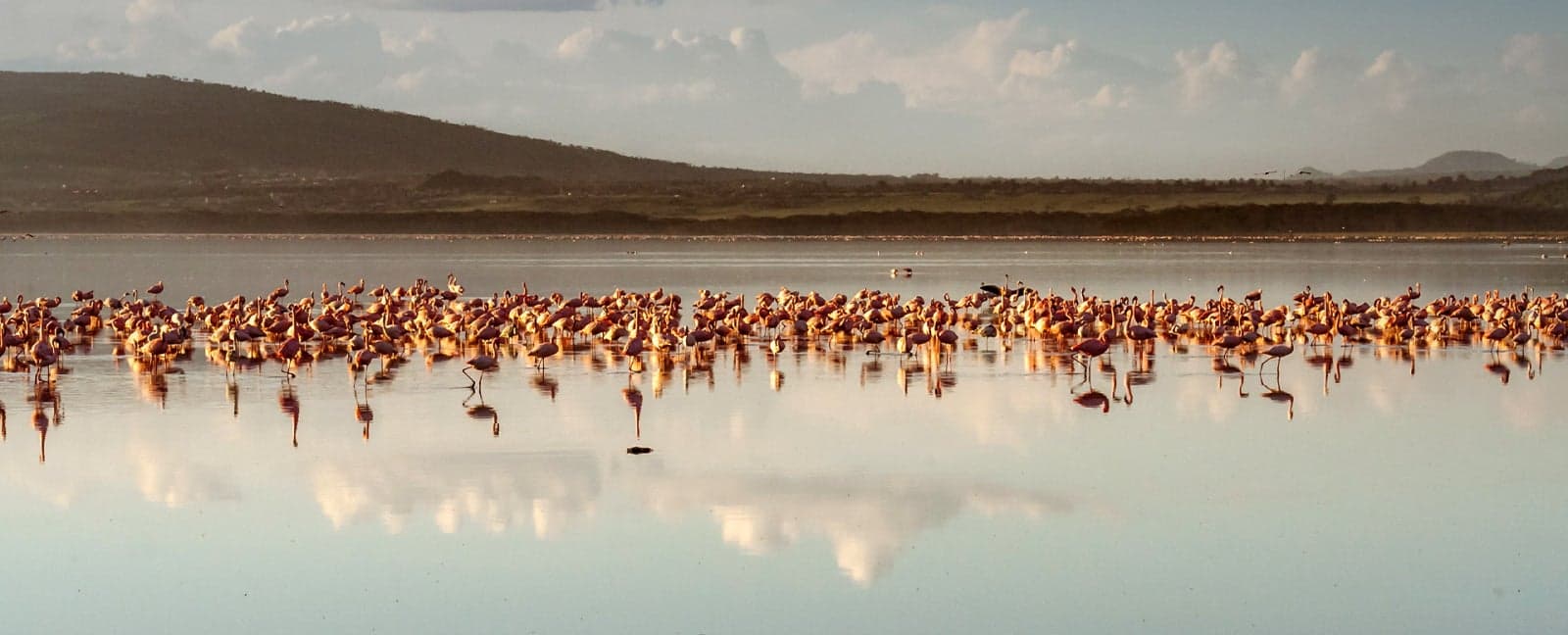 Maasai Mara National Reserve - Nyahururu