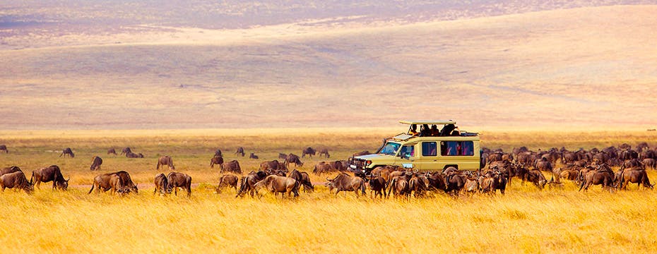 que es un safari en africa