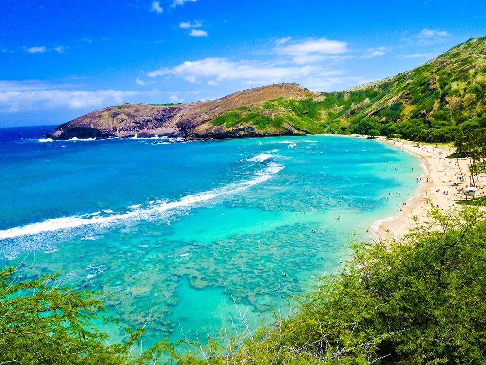 What Makes Hawaii Ocean Water SO Blue?