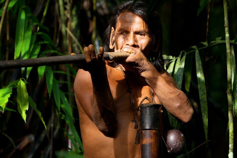 modern amazonian tribes