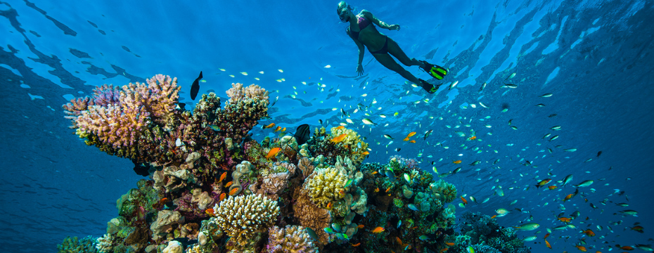 Where To Find The Most Beautiful Coral Reefs In The World Exoticca Blog